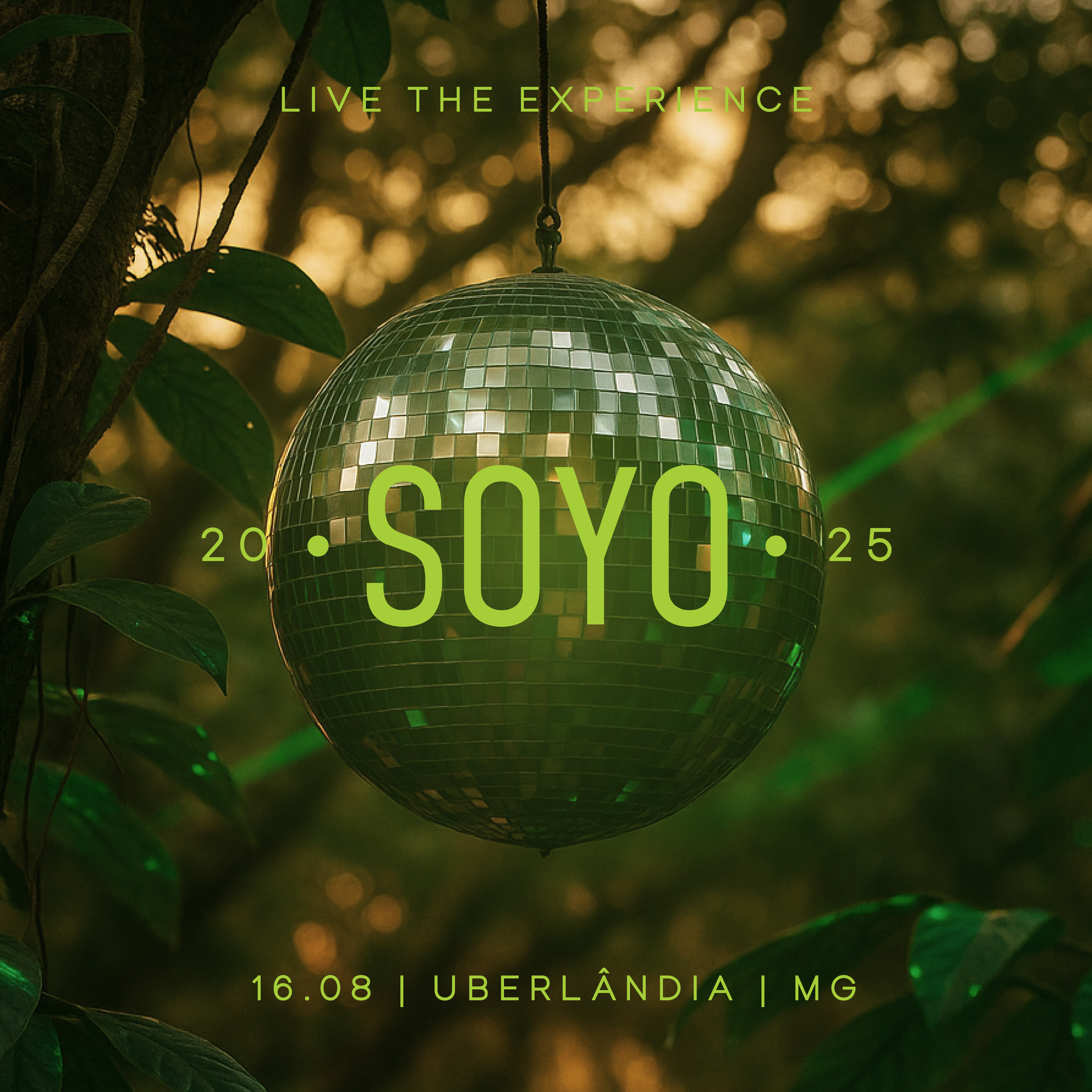 SOYO EXPERIENCE Banner